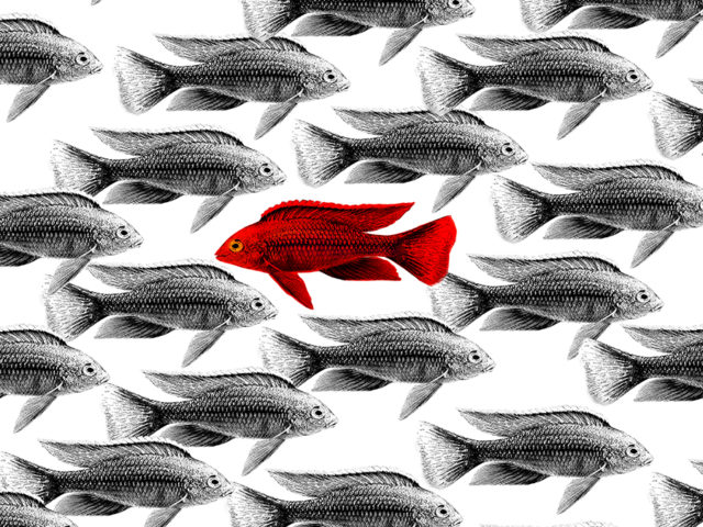 Faut-il être désagréable pour entretenir de bonnes relations ?