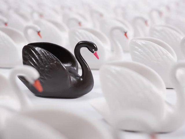 Le concept de cygne noir : la puissance de l’imprévisible